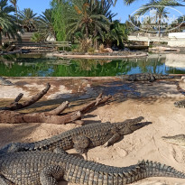 фото из отзыва ID 2085284