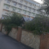 фото из отзыва ID 2082424