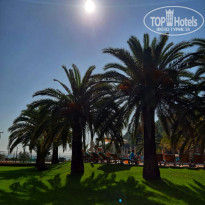 фото из отзыва ID 2085513