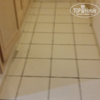 фото из отзыва ID 2085545