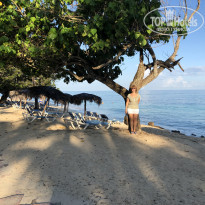 фото из отзыва ID 2085665