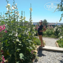 фото из отзыва ID 2085686