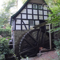 фото из отзыва ID 2085294