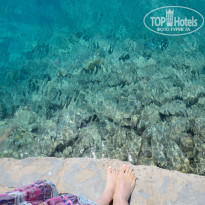 фото из отзыва ID 2085293