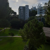 фото из отзыва ID 2085346