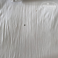 фото из отзыва ID 2085798