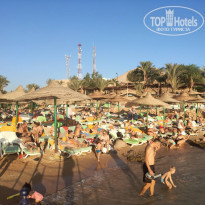 фото из отзыва ID 2085812