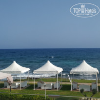 фото из отзыва ID 2085875