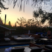 фото из отзыва ID 2085865