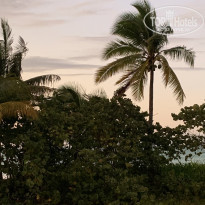 фото из отзыва ID 2085918