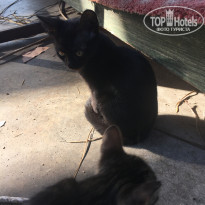 фото из отзыва ID 2085953