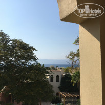 фото из отзыва ID 2086067