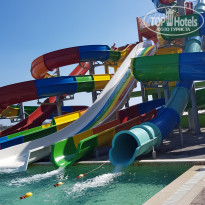 фото из отзыва ID 2086037