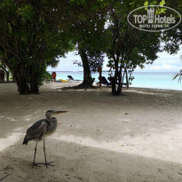 фото из отзыва ID 2086094