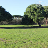 фото из отзыва ID 2086152