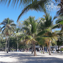 фото из отзыва ID 2086158