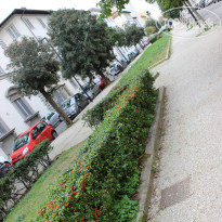 фото из отзыва ID 2086175