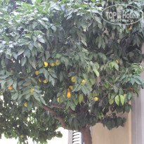 фото из отзыва ID 2086175