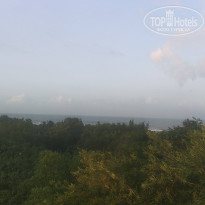 фото из отзыва ID 2086256