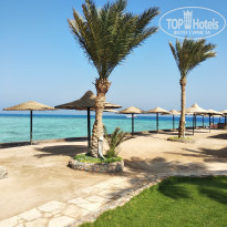 фото из отзыва ID 2086258