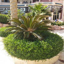 фото из отзыва ID 2086258