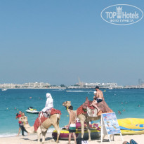 фото из отзыва ID 2086261