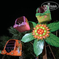 фото из отзыва ID 2086291