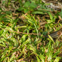 фото из отзыва ID 2086463