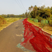 фото из отзыва ID 2086515