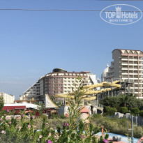 фото из отзыва ID 2086523