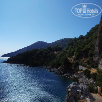 фото из отзыва ID 2086535