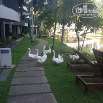 фото из отзыва ID 2086592