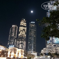 фото из отзыва ID 2086607