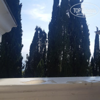 фото из отзыва ID 2086606