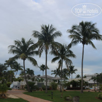 фото из отзыва ID 2086647