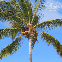 фото из отзыва ID 2086647