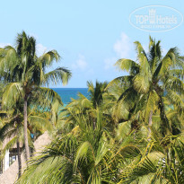 фото из отзыва ID 2086647