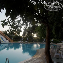 фото из отзыва ID 2086396