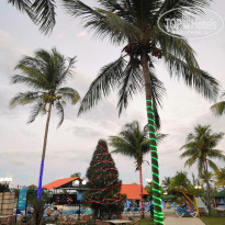 фото из отзыва ID 2086693