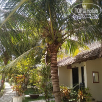 фото из отзыва ID 2086754