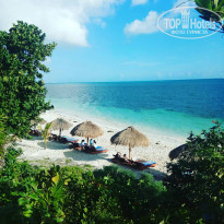 фото из отзыва ID 2086745