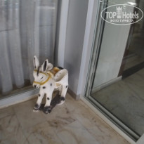 фото из отзыва ID 2086792