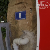 фото из отзыва ID 2086792