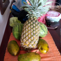 фото из отзыва ID 2086846