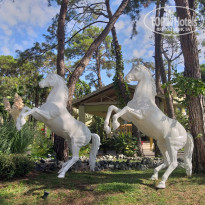 фото из отзыва ID 2086508