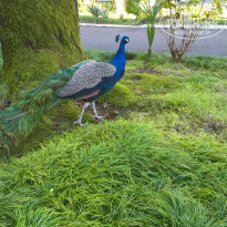 фото из отзыва ID 2086928