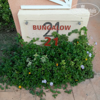 фото из отзыва ID 2086993