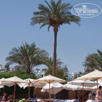 фото из отзыва ID 2086984