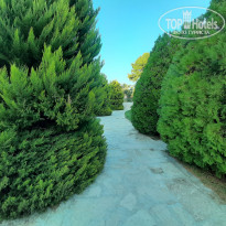 фото из отзыва ID 2086982