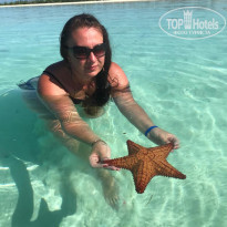 фото из отзыва ID 2086993